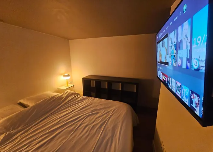 The Artist - Hypercentre Apartament *